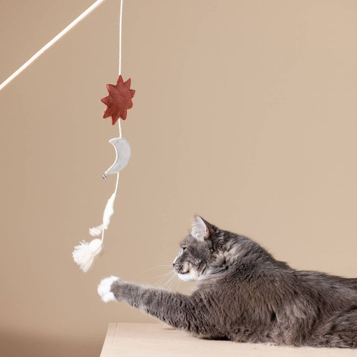 Happy Skies Multi-Sensory Teaser Toy