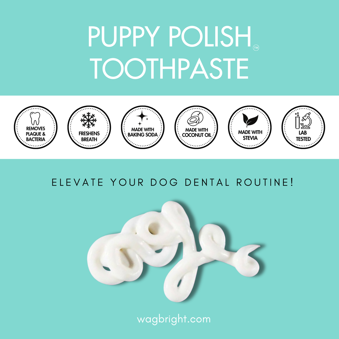 Wag & Bright Puppy Polish Toothpaste 100g