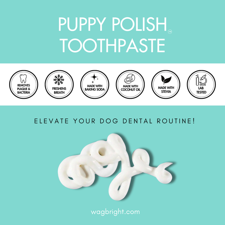 Wag & Bright Puppy Polish Toothpaste 100g