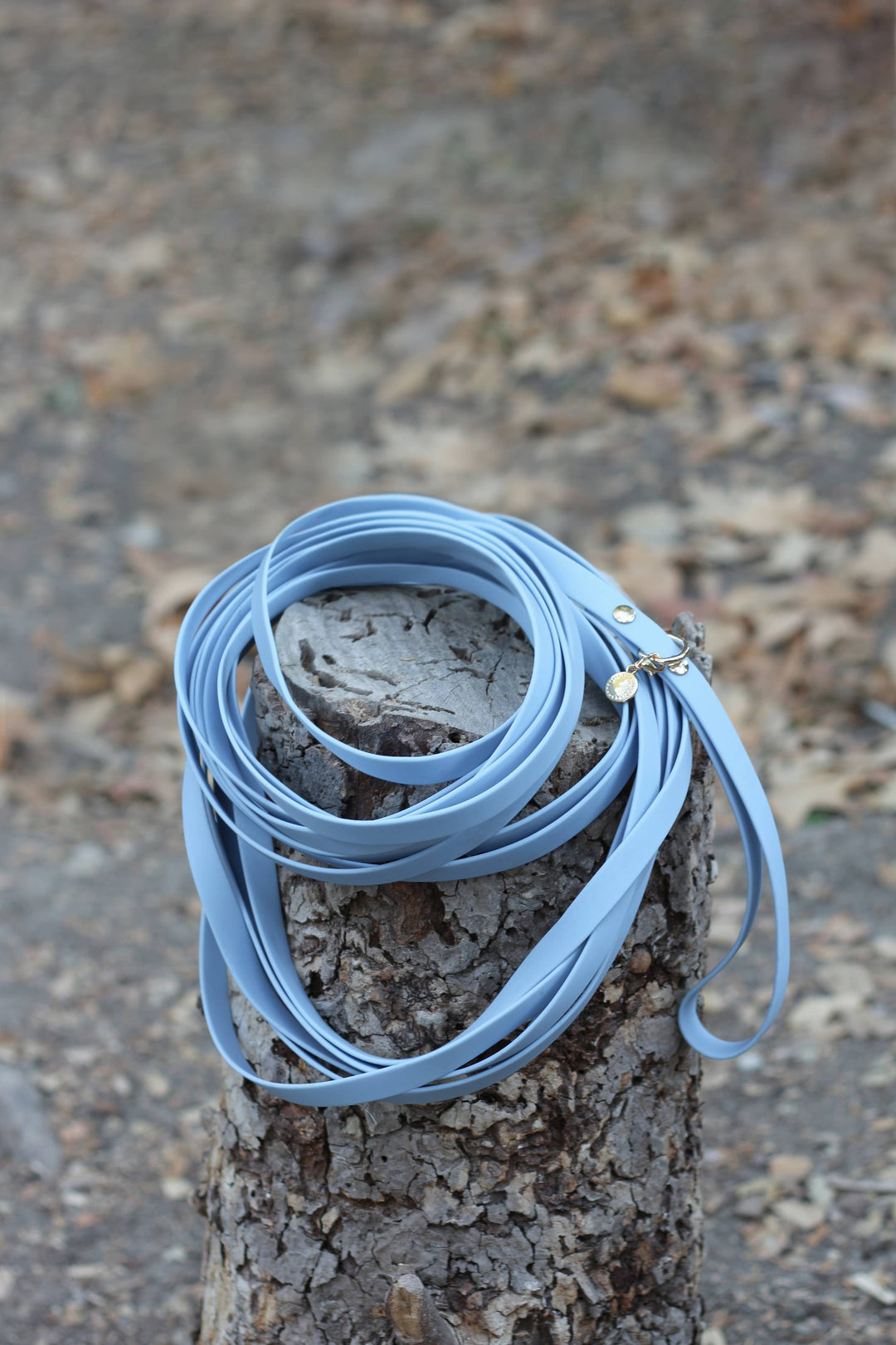 Cloud Waterproof Long Line Leash (30 ft)