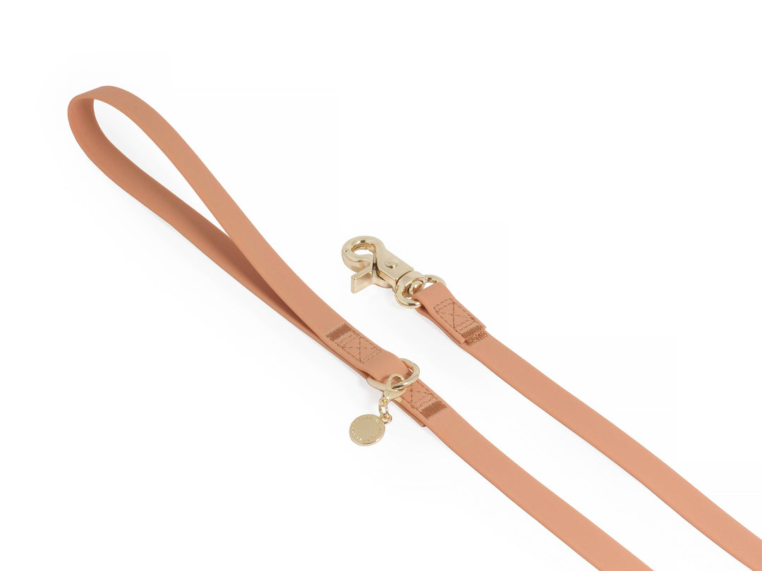 Cloud Waterproof Long Line Leash (30 ft)