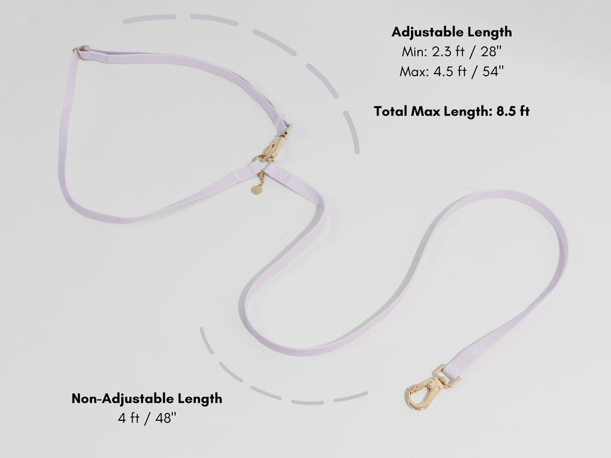 Cloud Wide Hands-Free Convertible Leash