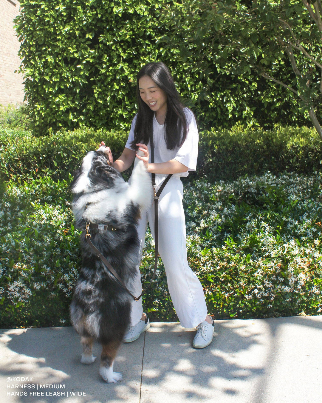 Cloud Wide Hands-Free Convertible Leash