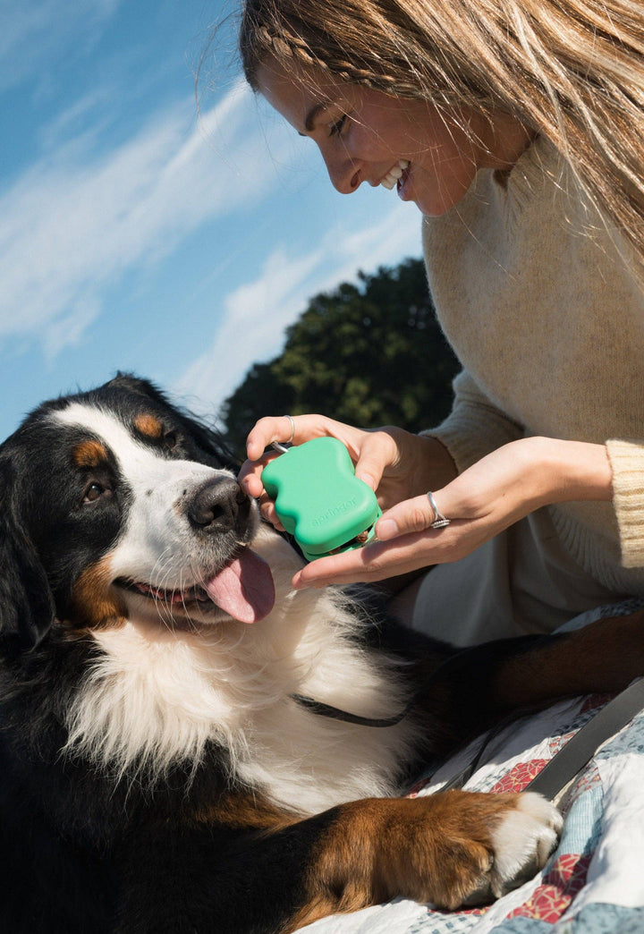Squeeze Silicone Dog Treat Dispenser