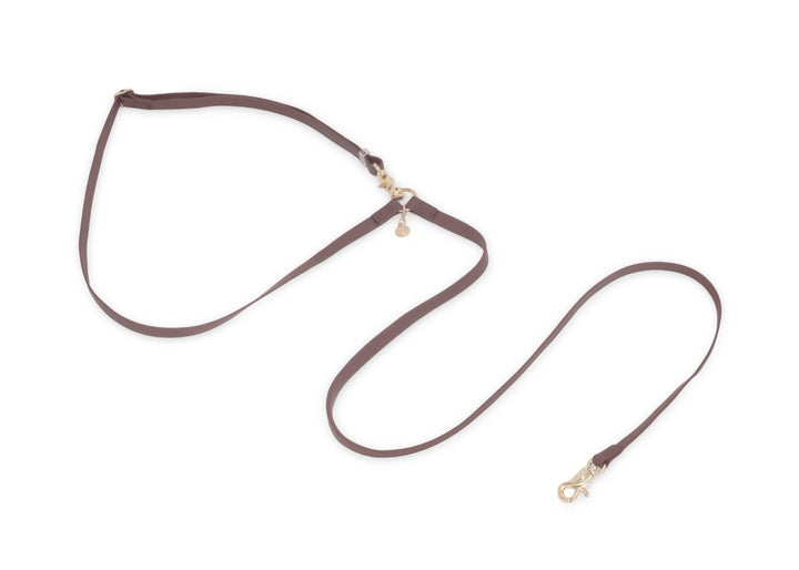 Cloud Hands-Free Convertible Leash