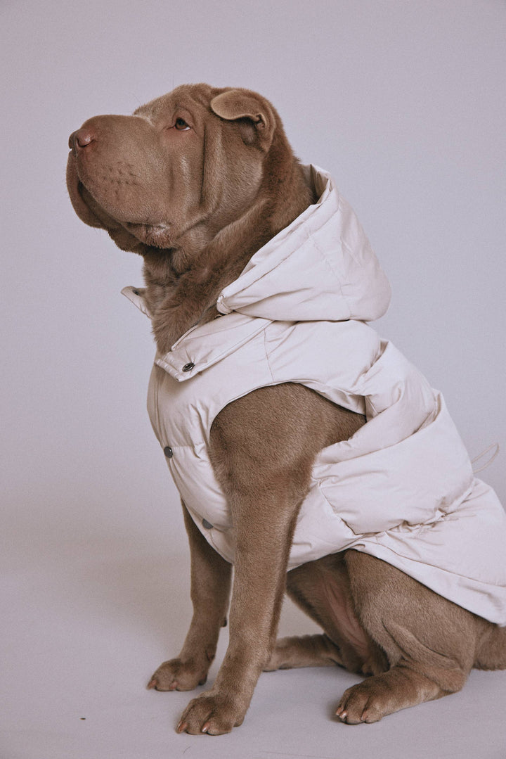 Sub Zero Waterproof Puffer Jacket for Dogs