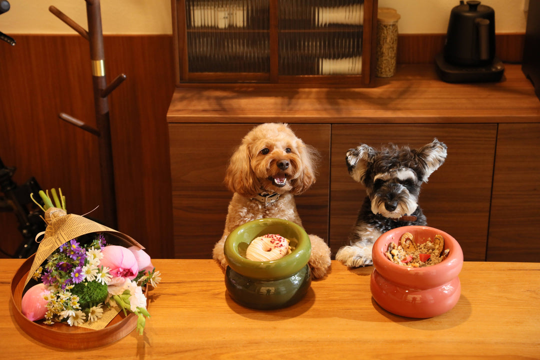 Soufflé Pet Bowl