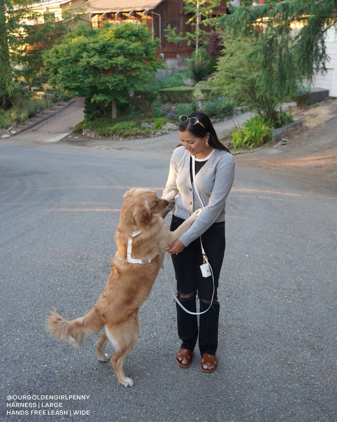 Cloud Wide Hands-Free Convertible Leash