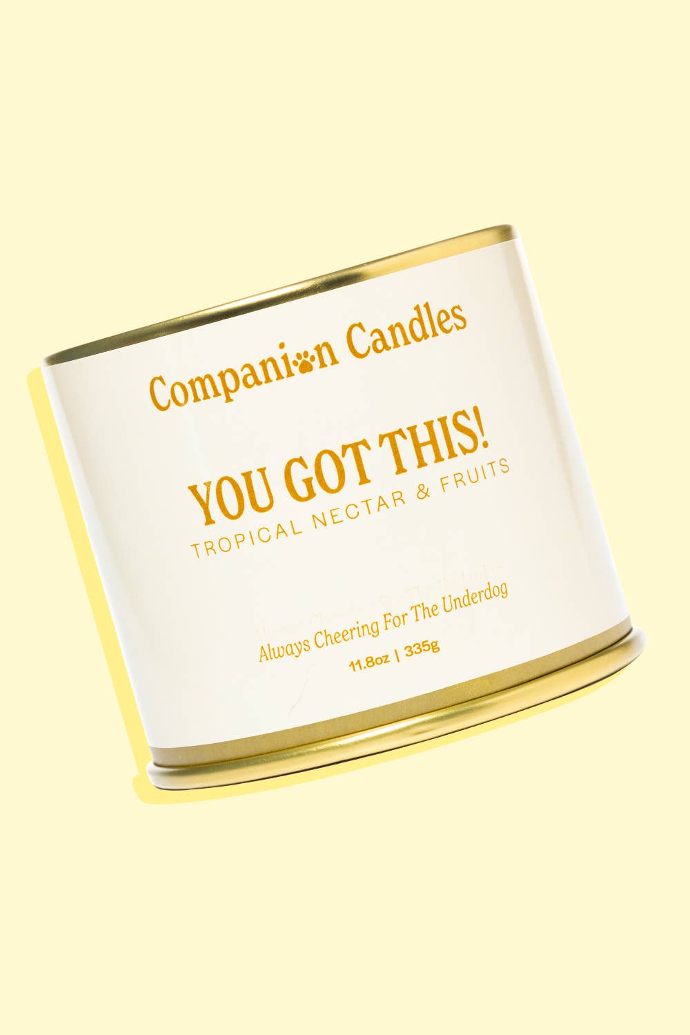 Citrus Coconut-Soy Scented Candle (Pet-Safe)