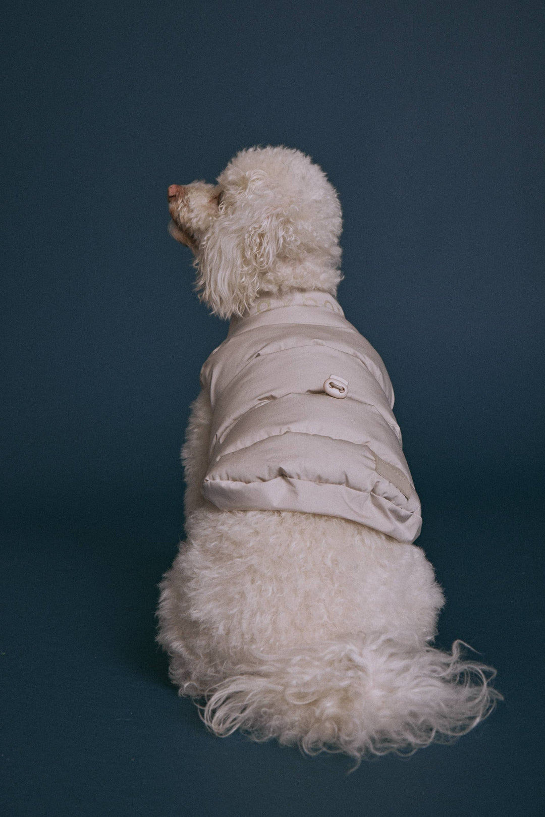 Sub Zero Waterproof Puffer Jacket for Dogs