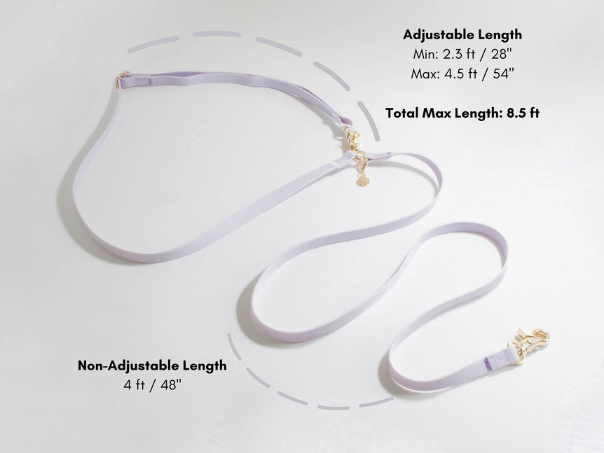 Cloud Hands-Free Convertible Leash