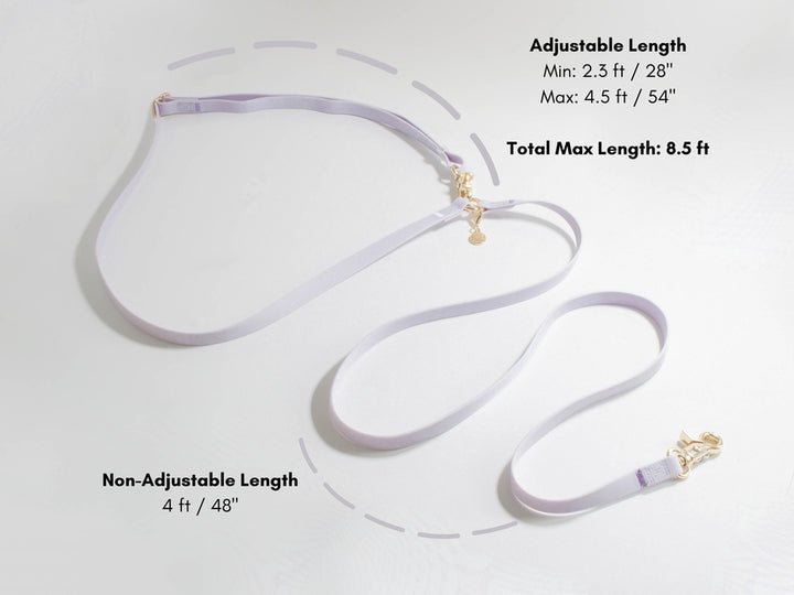 Cloud Hands-Free Convertible Leash
