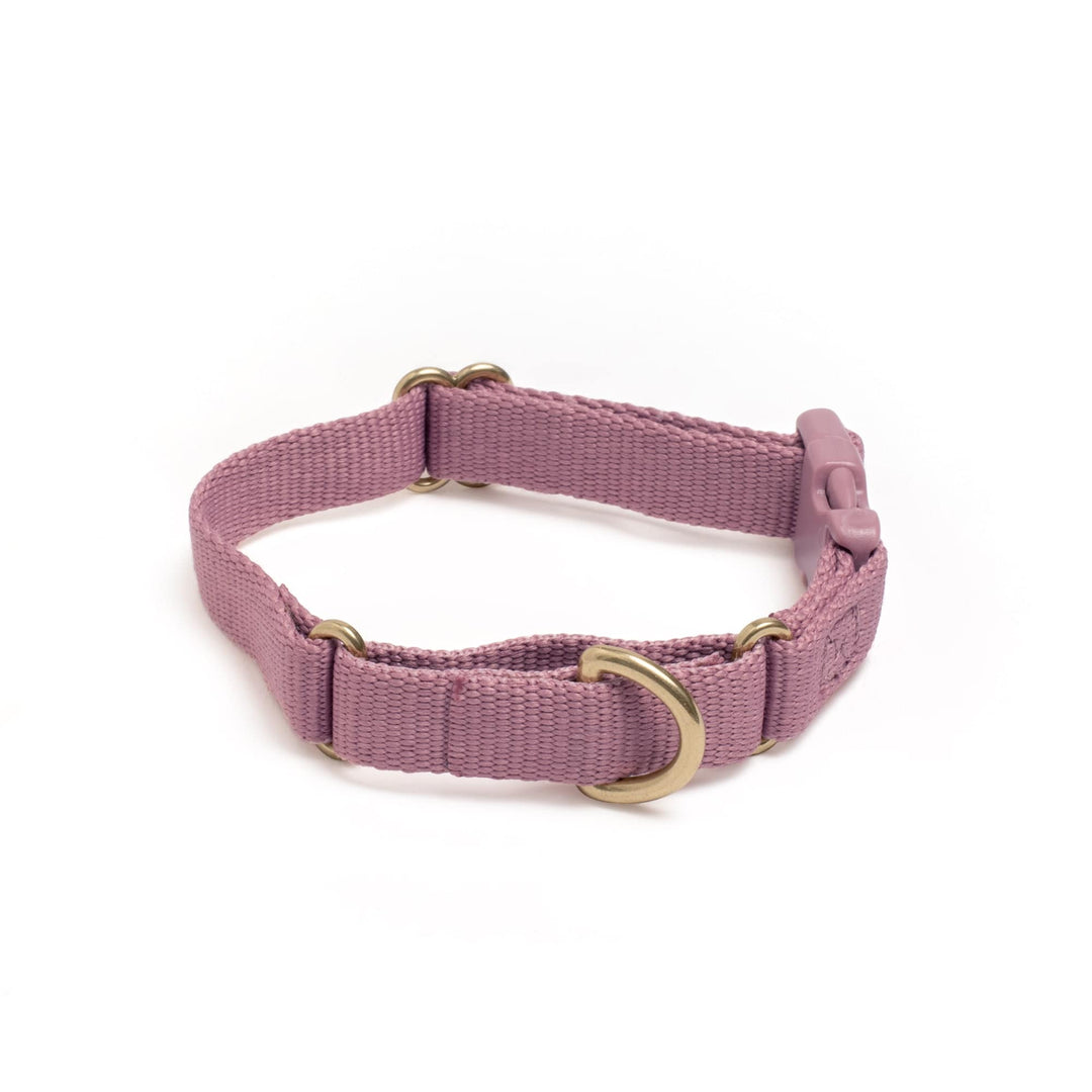 Marty Collar