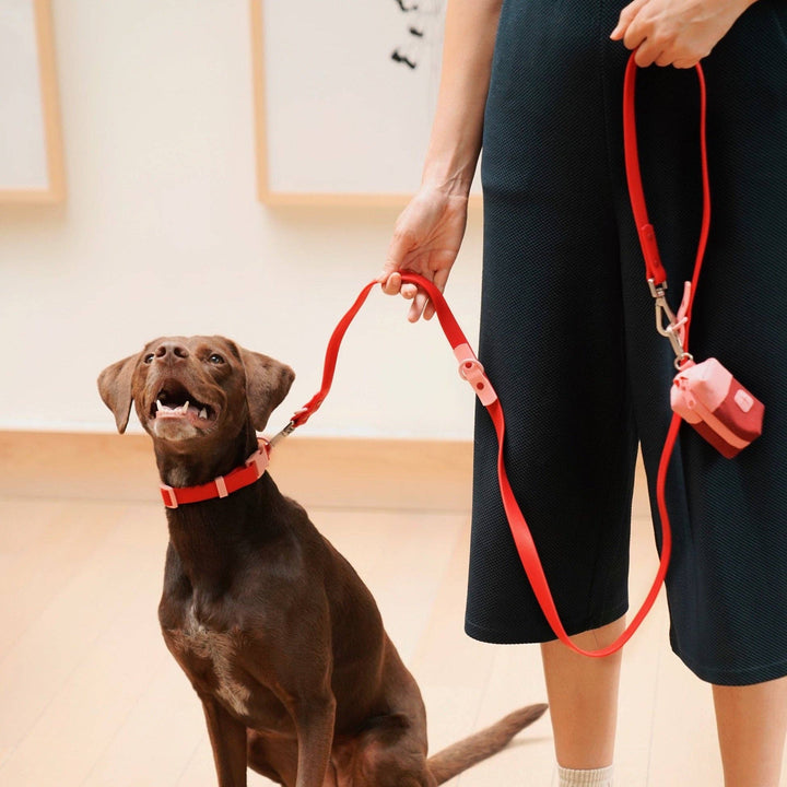 The Fritz Dog Collar