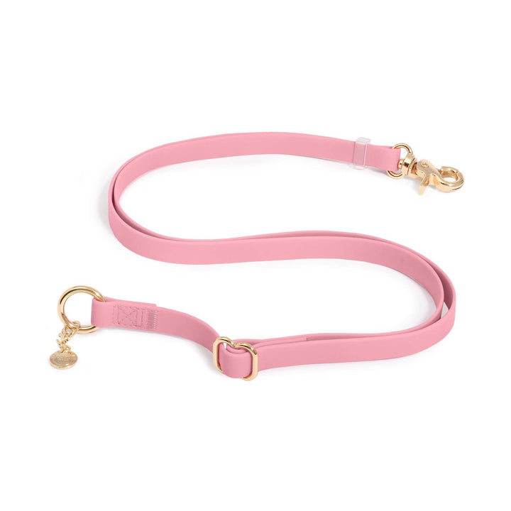 Cloud Leash 4-Way Extension