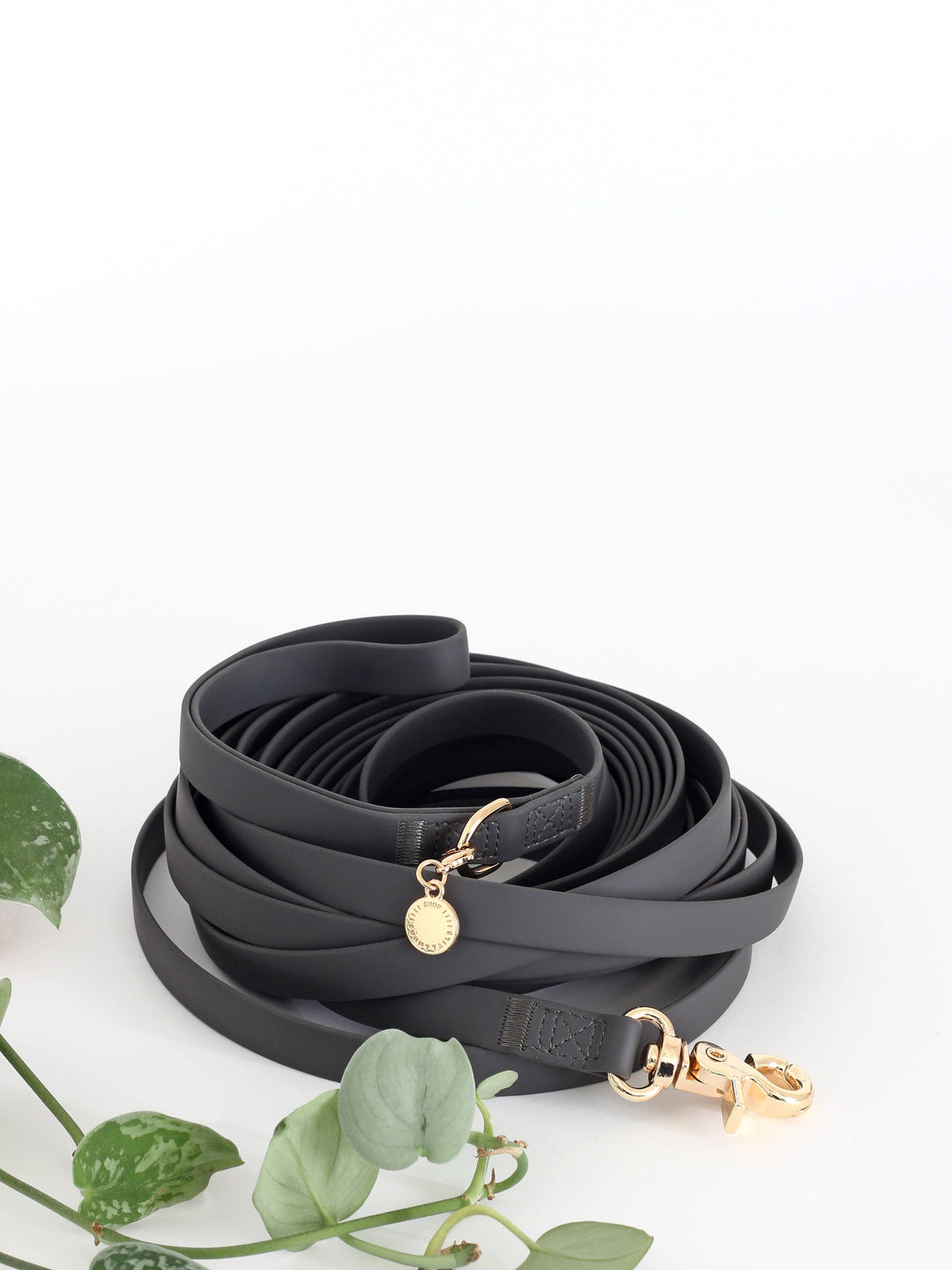 Cloud Waterproof Long Line Leash (30 ft)