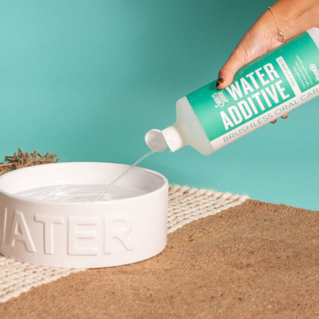 Oral Care Water Additive: Flavorless 32 oz