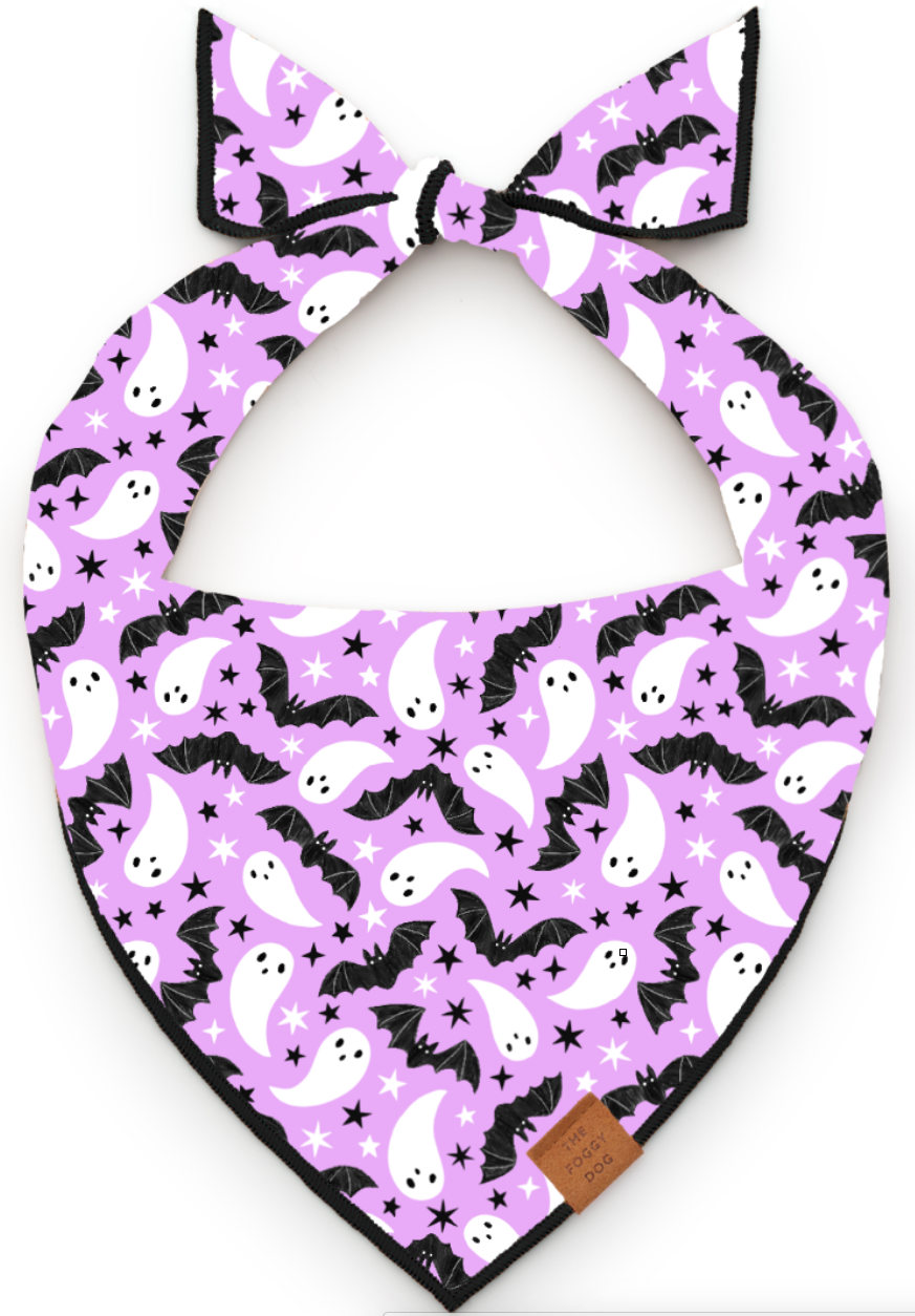 Spooky Season Glow-in-the-Dark Reversible Dog Bandana