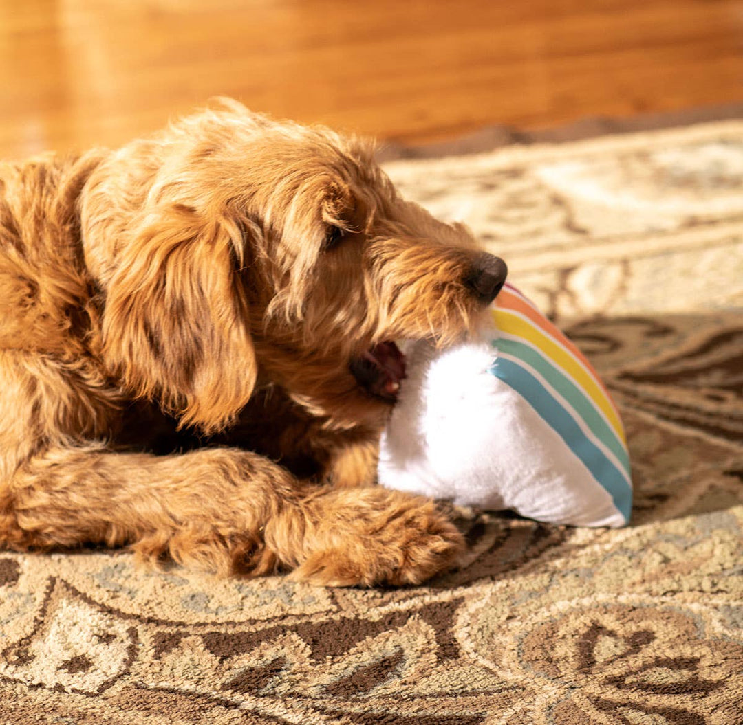 ThoozyPet Birthday Cake Plush Dog Toy