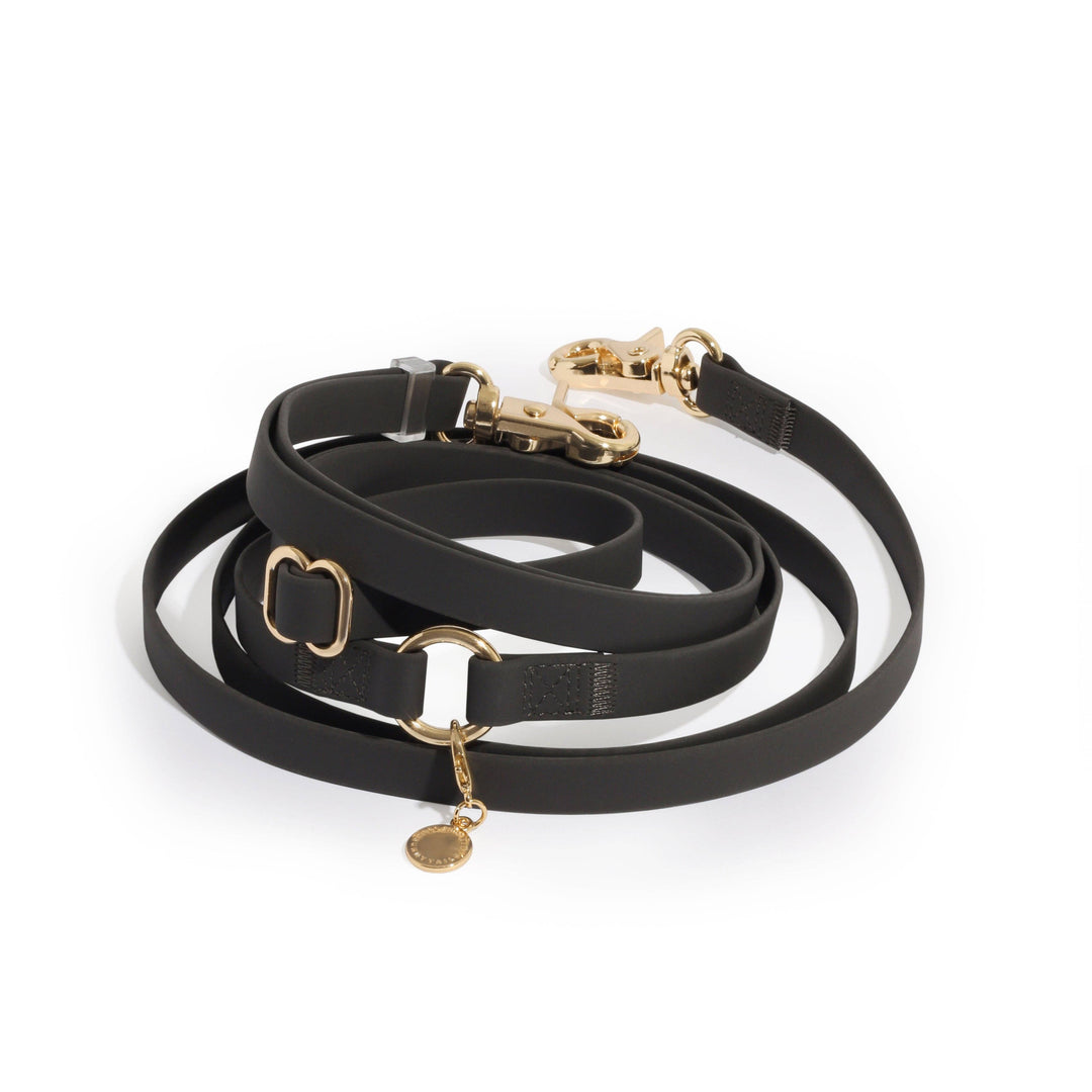 Cloud Hands-Free Convertible Leash
