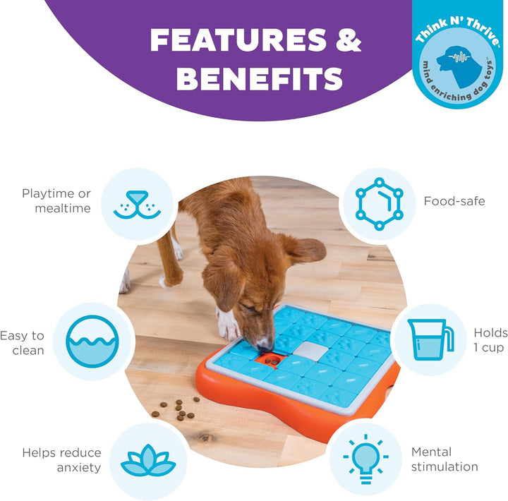 Challenge Slider Interactive Treat Puzzle Dog Toy
