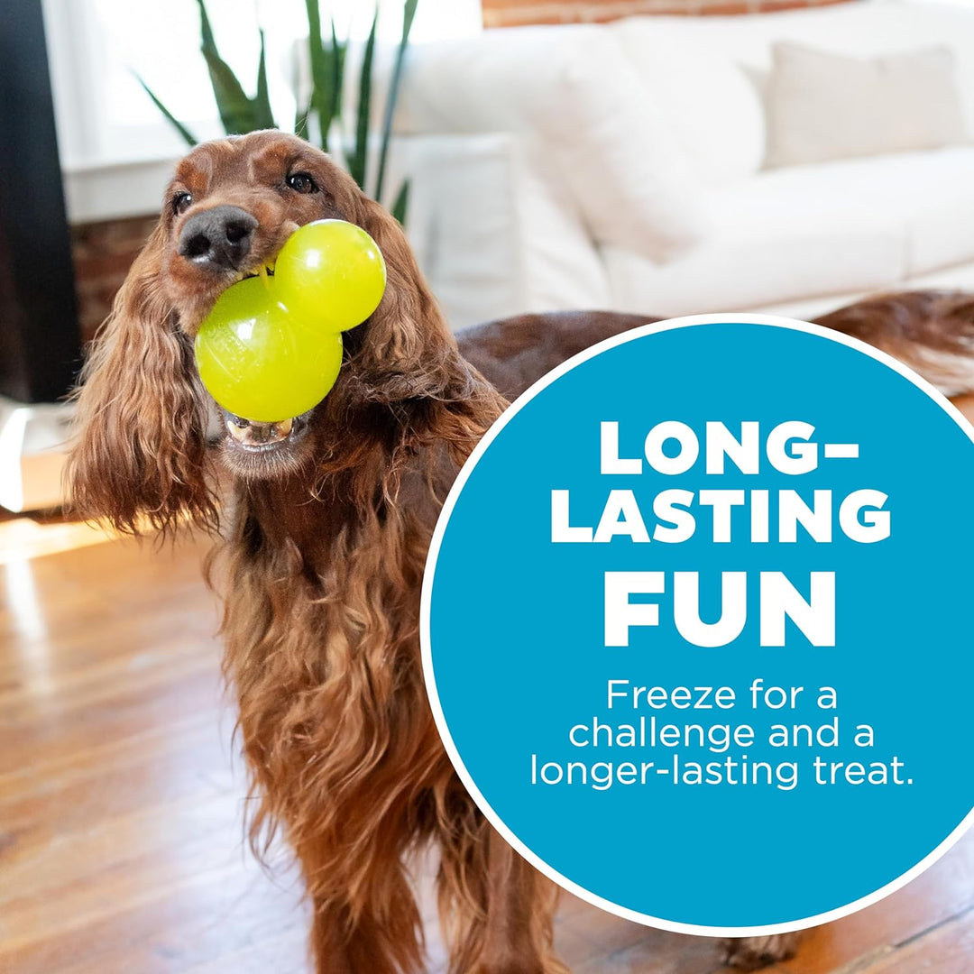 Double-Tuff Interactive Treat Stuffer Durable Dog Chew Toy