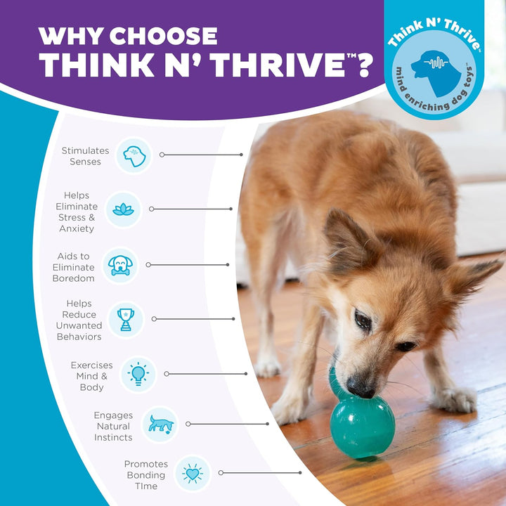 Double-Tuff Interactive Treat Stuffer Durable Dog Chew Toy