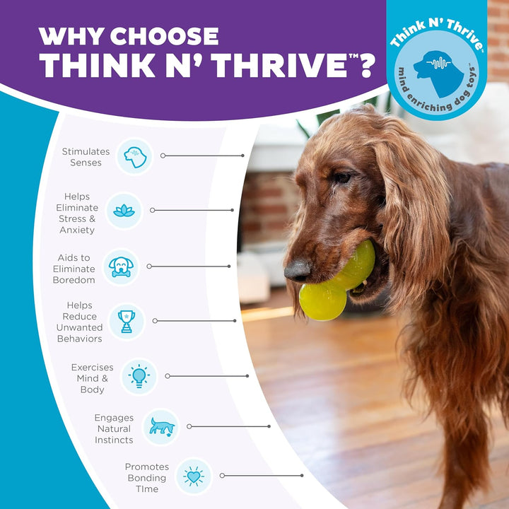 Double-Tuff Interactive Treat Stuffer Durable Dog Chew Toy