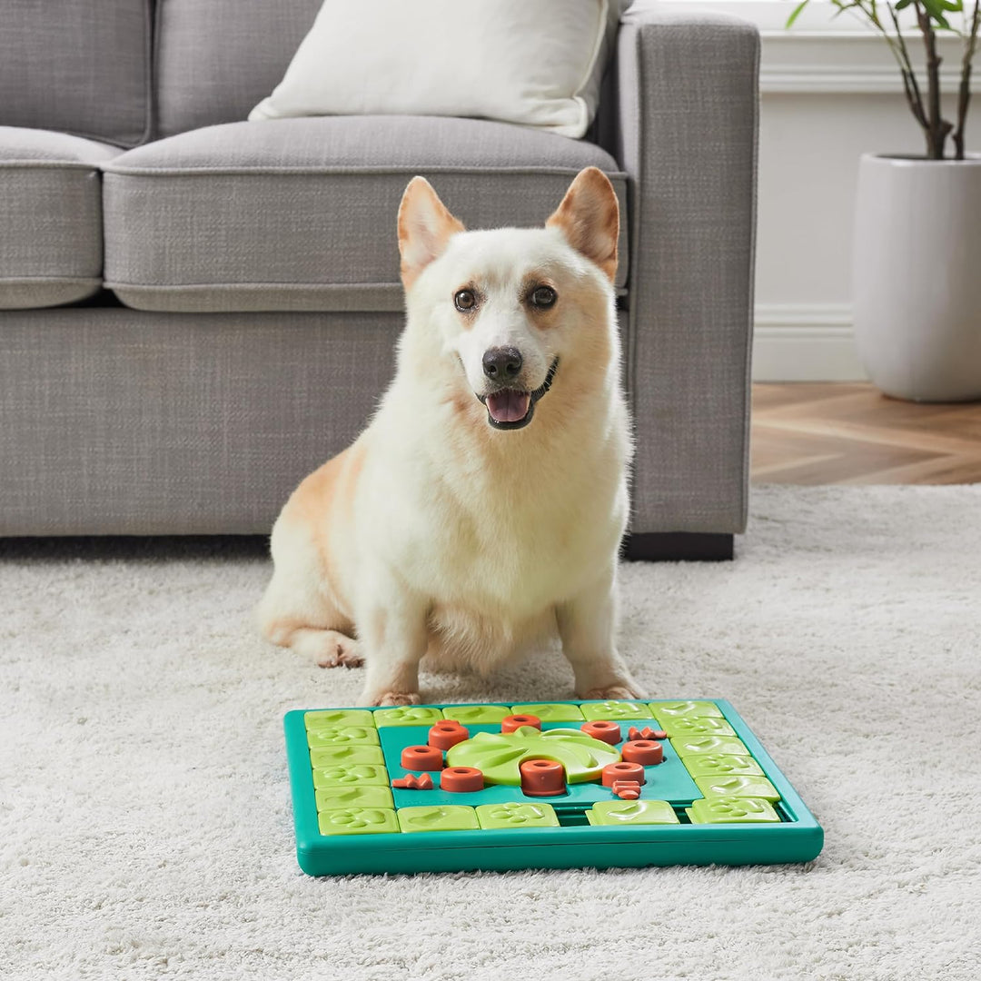 MultiPuzzle Interactive Dog Treat Puzzle Toy