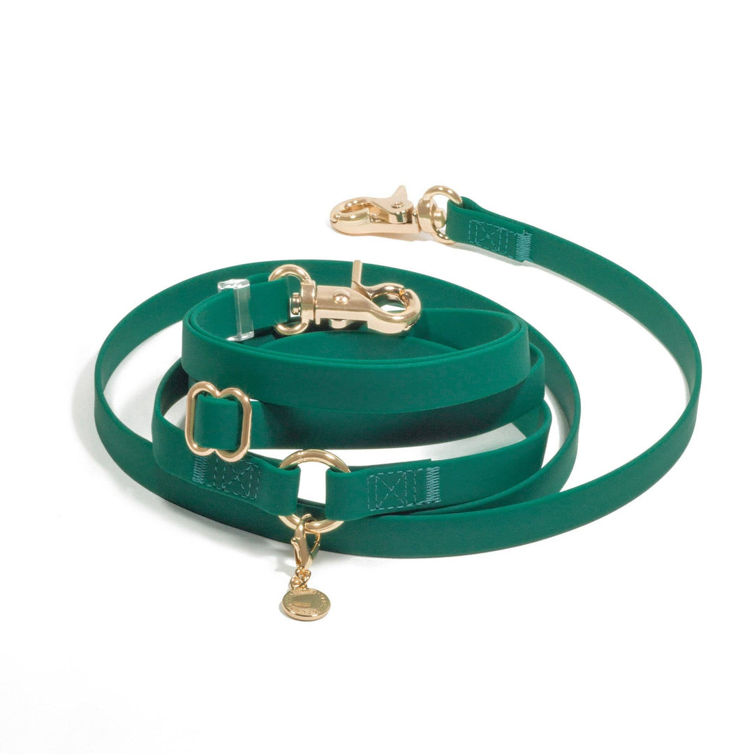 Cloud Hands-Free Convertible Leash