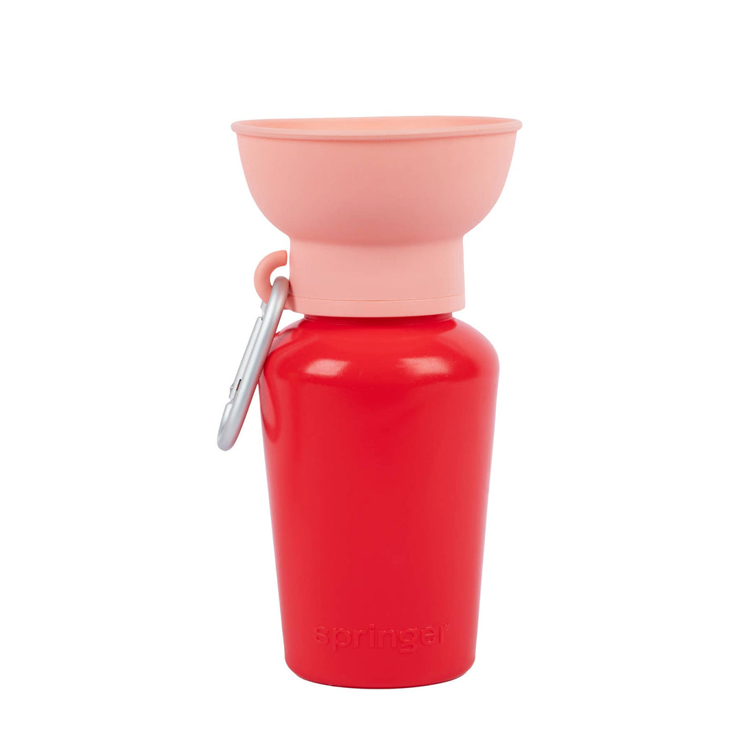 Flip Travel Water Bottle (Limited Edition Colors)