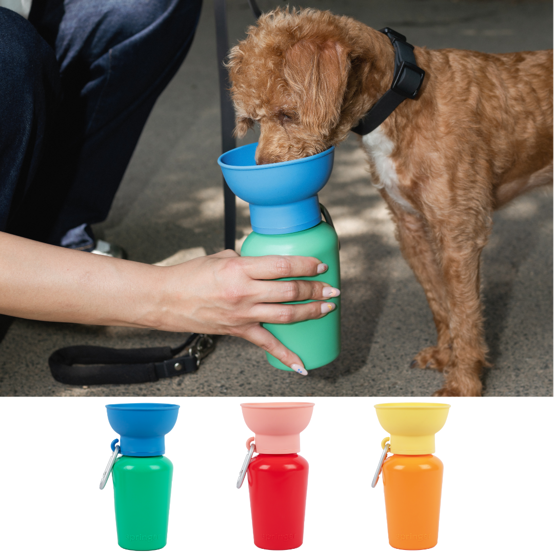 Flip Travel Water Bottle (Limited Edition Colors)