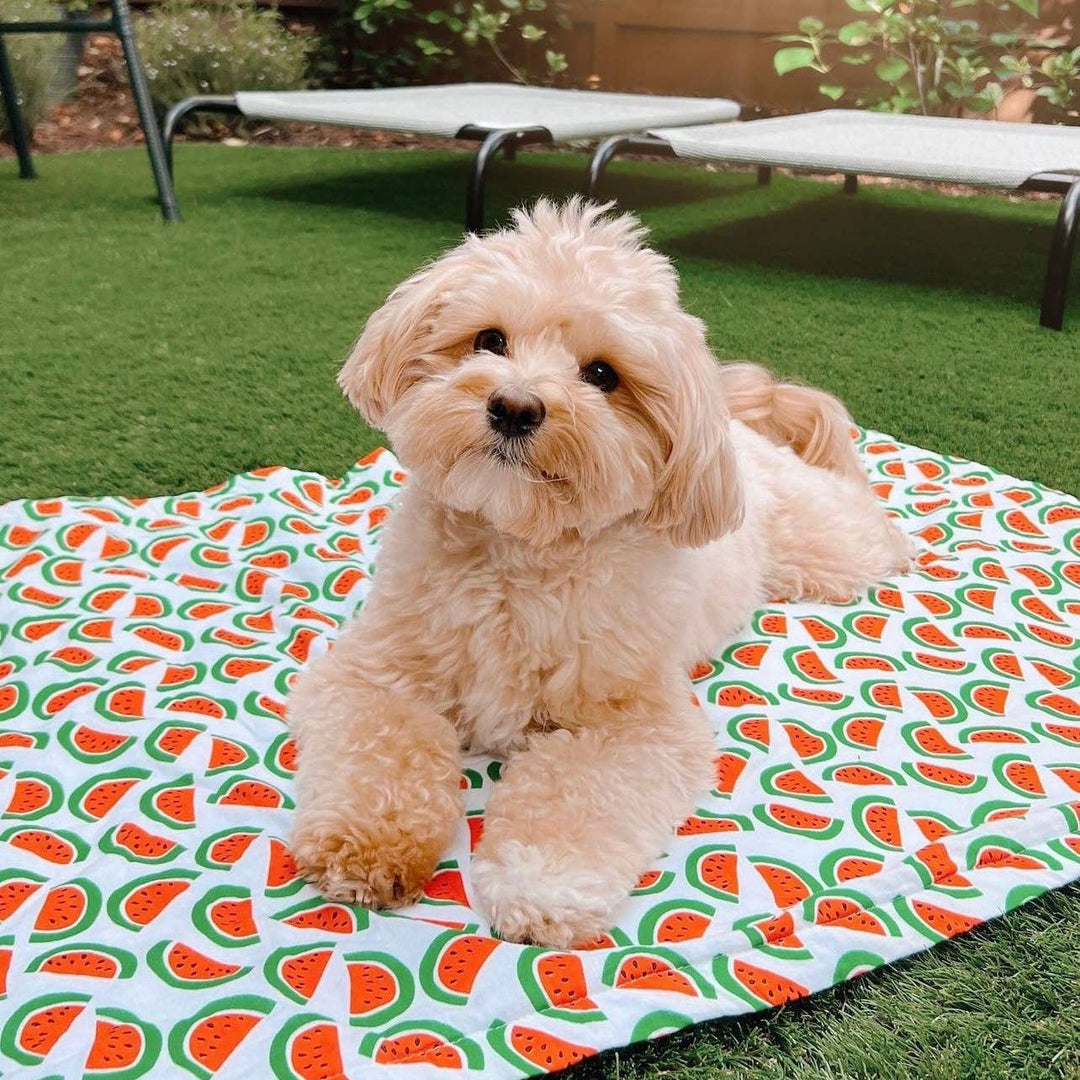 Pet Towel