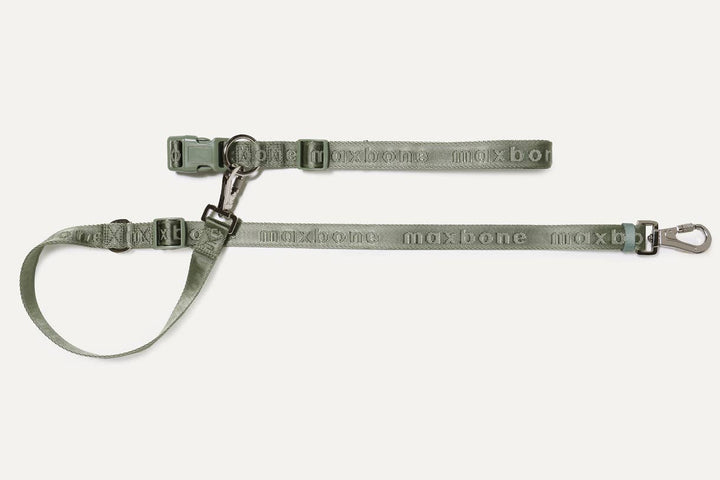 GO! With Ease Hands-Free Leash