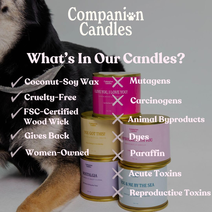 Grapefruit & Vanilla Coconut-Soy Scented Candle (Pet-Safe)