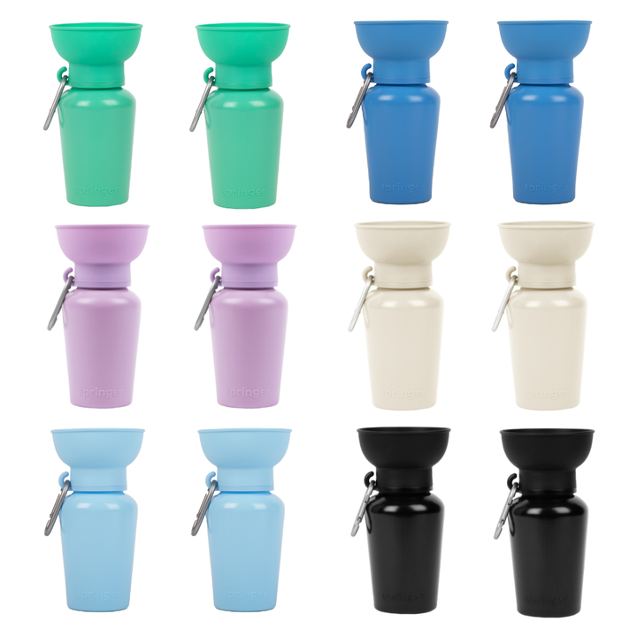 Flip Travel Water Bottle (20 oz)