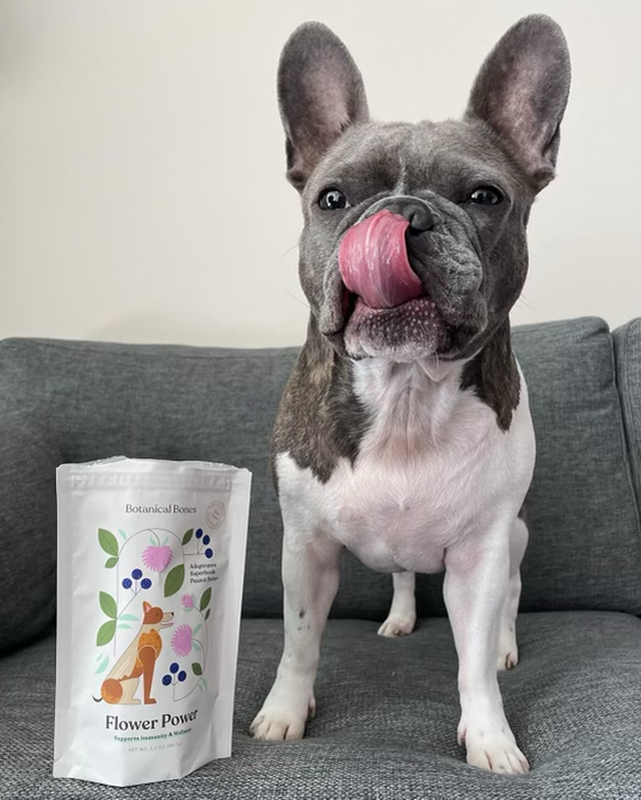 Botanical Bones - Organic Dog Treats