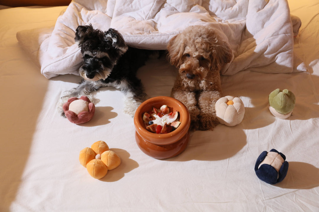 Soufflé Pet Bowl
