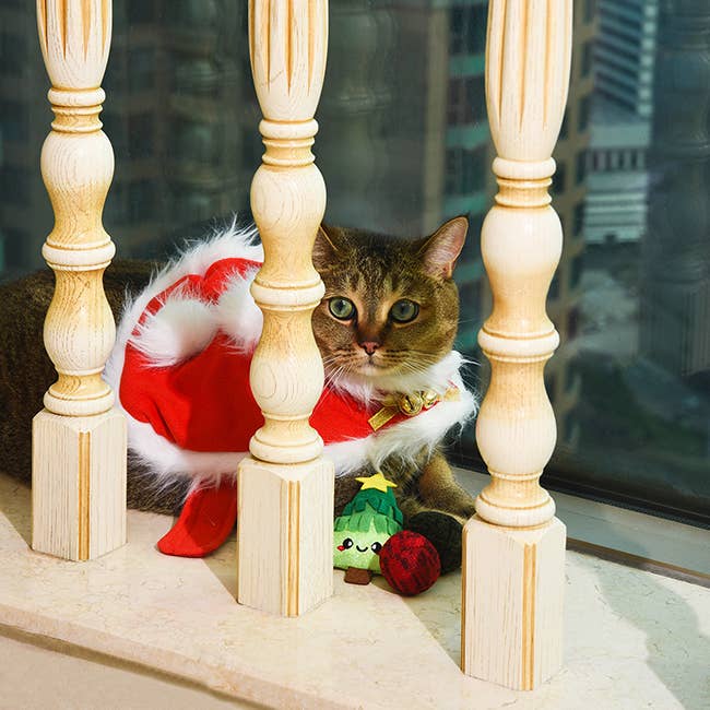Xmas Tree - Cat Toy Set