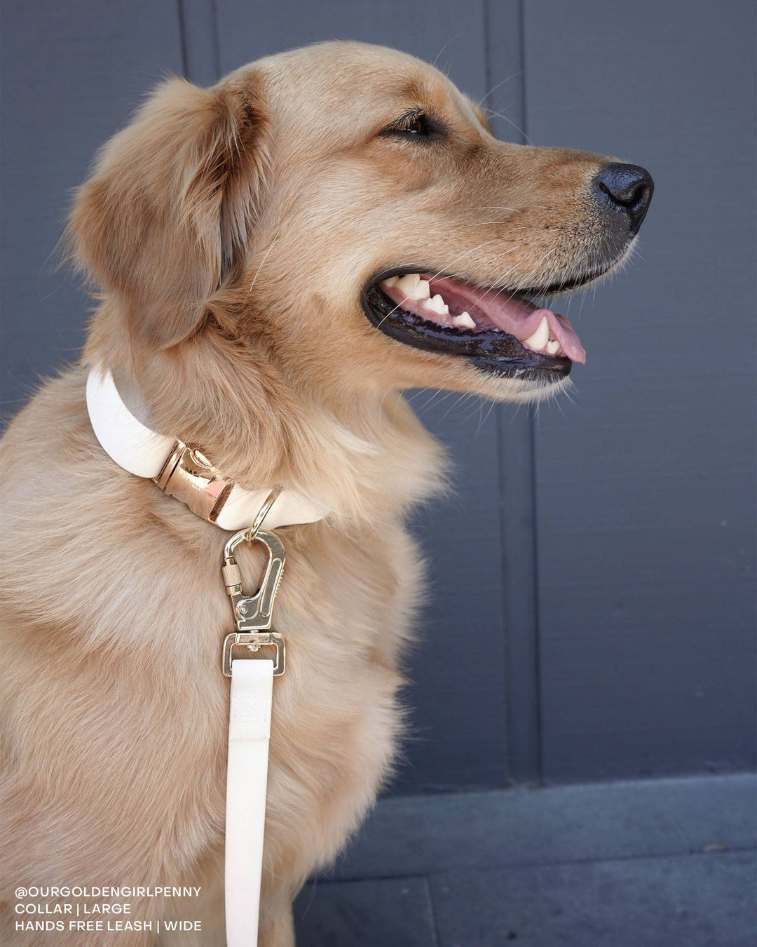 Cloud Waterproof Collar