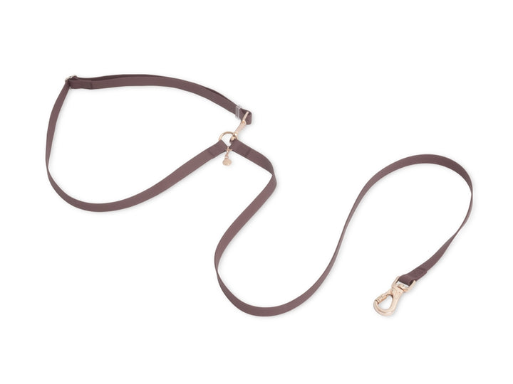 Cloud Wide Hands-Free Convertible Leash