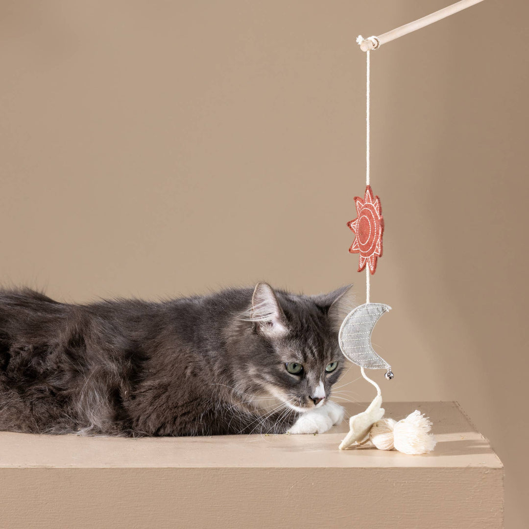 Happy Skies Multi-Sensory Teaser Toy
