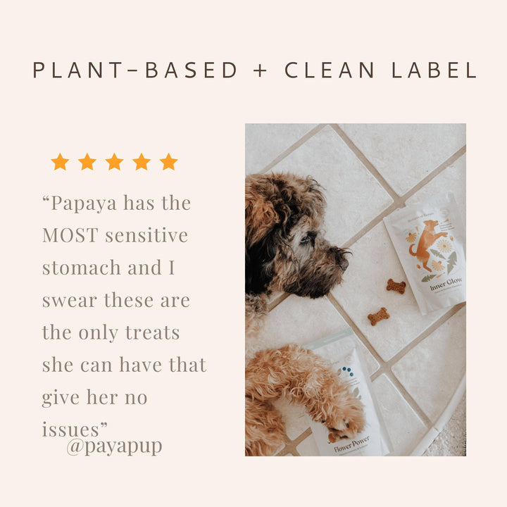 Botanical Bones - Organic Dog Treats