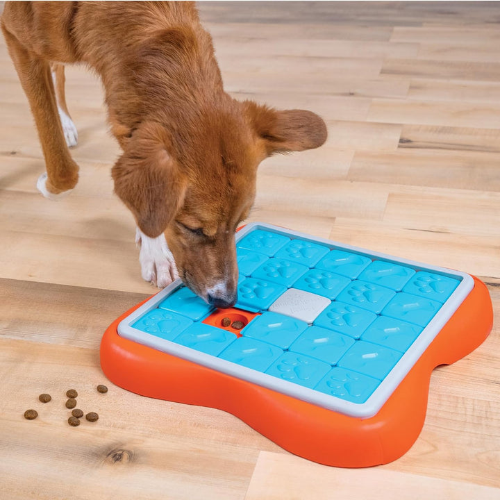 Challenge Slider Interactive Treat Puzzle Dog Toy