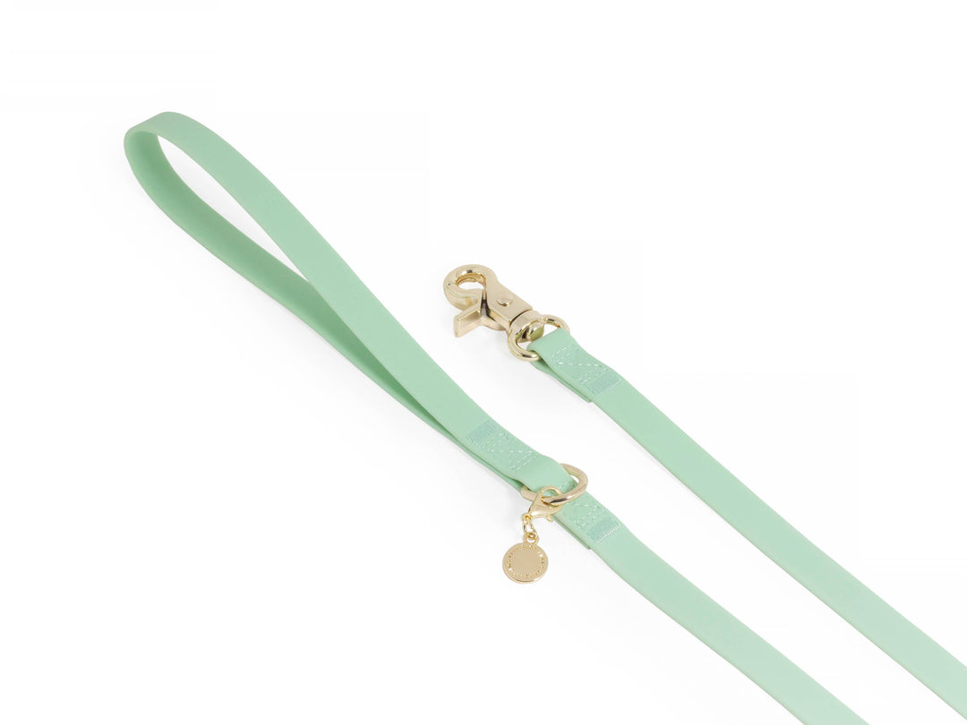 Cloud Waterproof Long Line Leash (30 ft)
