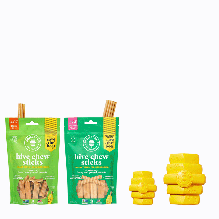 Hive Chew Toy