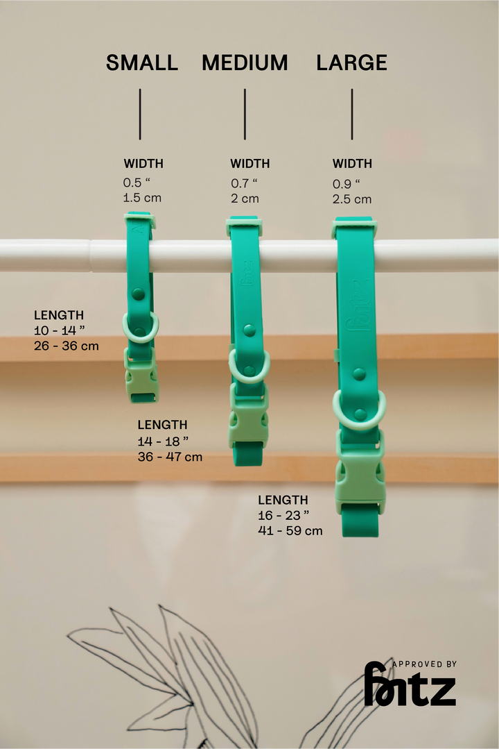 The Fritz Dog Collar