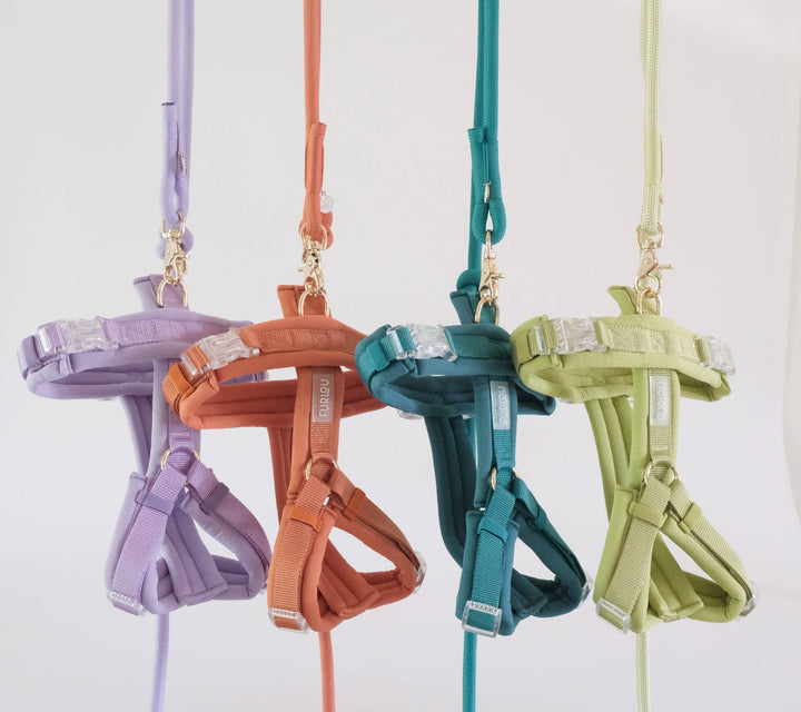Comfort Dog Harness