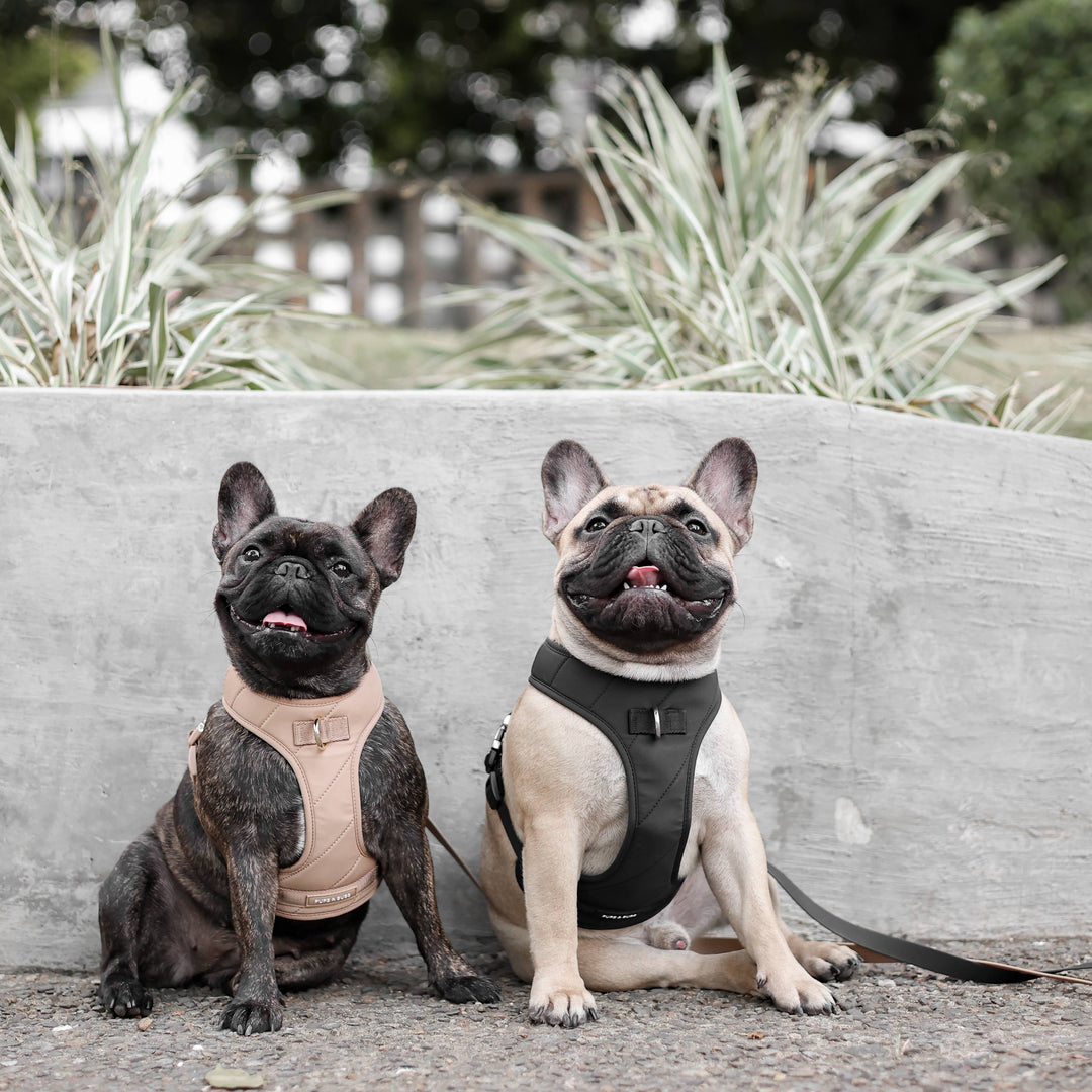 Roam Luxe Harness