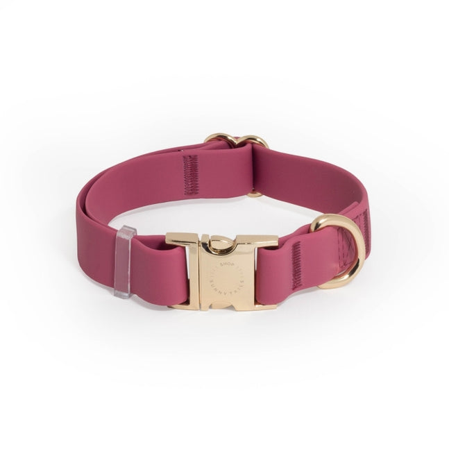 Cloud Waterproof Collar